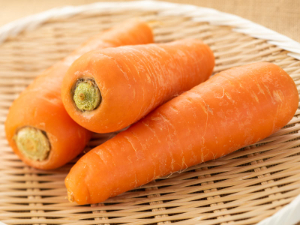 国内産 にんじん ３本入