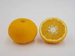 ・ 甘夏みかん 1玉