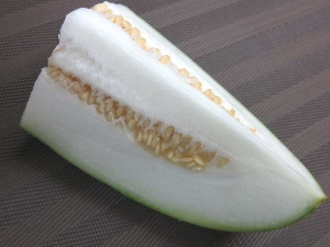 冬瓜