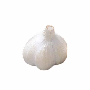 国内産 にんにく 1個