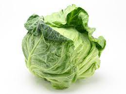 春キャベツ