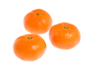 ・ 寿太郎みかん　 1袋