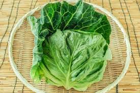 ・ 国内産 初夏キャベツ 1玉