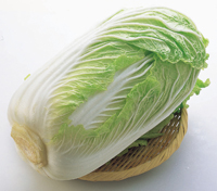 白菜