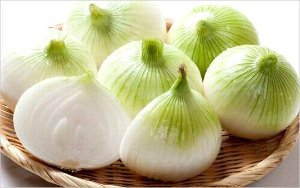 国内産 新たまねぎ 1袋