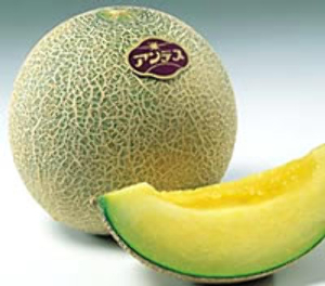 国内産 アンデスメロン　甘みが良くて美味しい 1玉