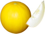 国内産 イエローキングメロン 1玉