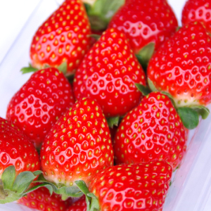 ・ とちおとめ いちご １パック