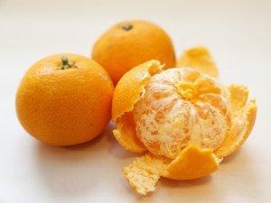 蒲郡青島みかん