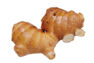 高知県産他 しょうが 1袋