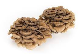 国内産　まいたけＷパック １パック