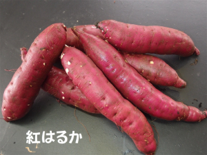 茨城産他 紅はるか 3本～4本入