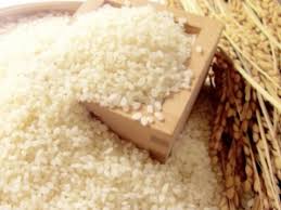 売り切れごめん　2便各先着10袋限定 長野県佐久平産　　こしひかり（えぷろん米） 5ｋｇ