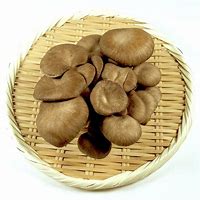 ホクト　数に限りあります。売り切れごめん 霜降りひらたけ 1袋