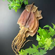 売り切れごめん 中日本海産　北海するめ 2枚